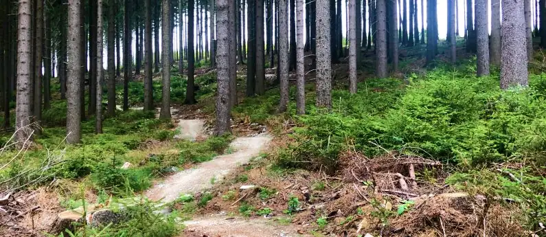 Kaczawskie Single Tracki w Krainie Wygasłych Wulkanów - trasy rowerowe MTB dla każdego