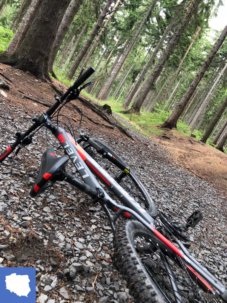 Trasy rowerowe single track Zajęcznik